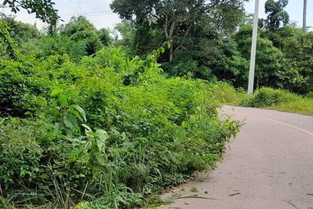 ภาพหน้าจอ_010826_024252_PM