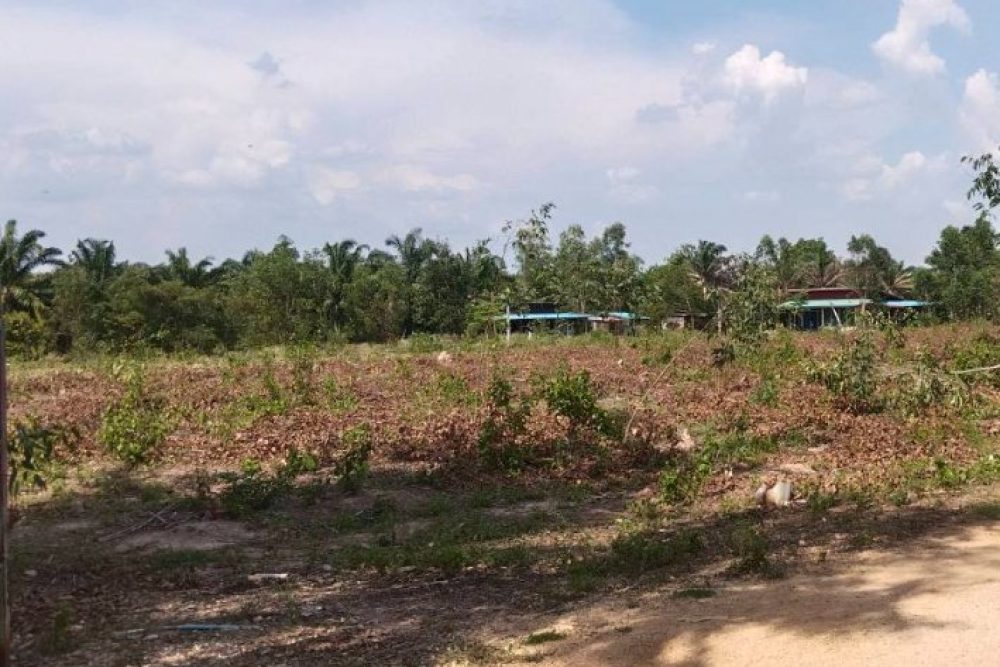 ภาพหน้าจอ_010926_012342_PM