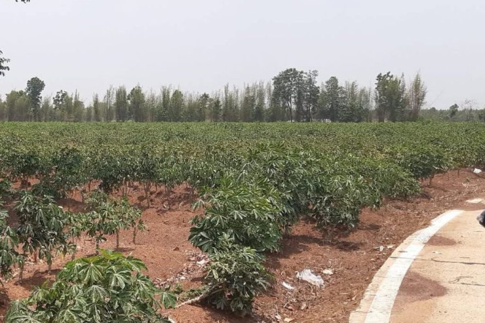 ภาพหน้าจอ_010926_103402_AM