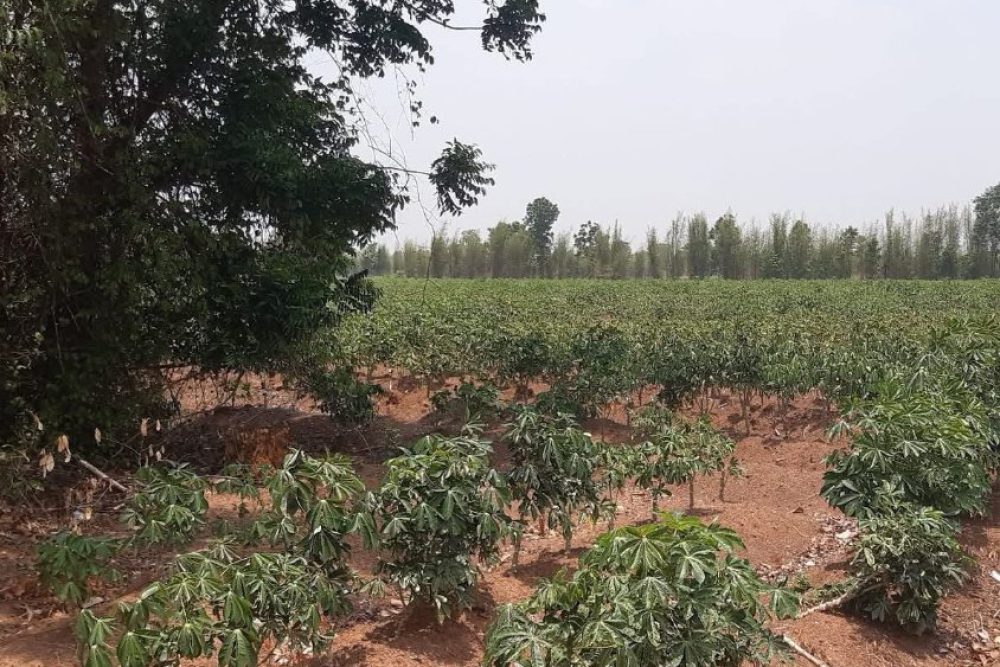 ภาพหน้าจอ_010926_103416_AM