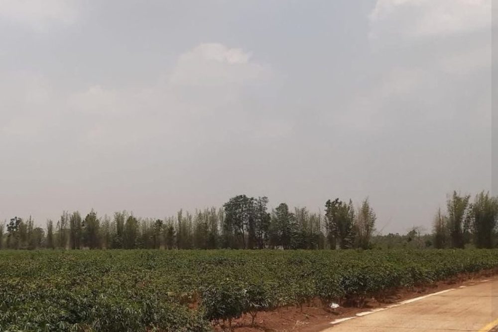 ภาพหน้าจอ_010926_103436_AM