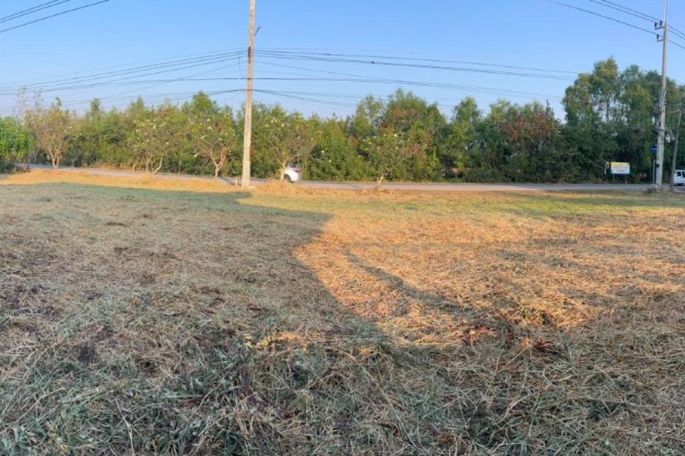 ภาพหน้าจอ_012326_112342_AM