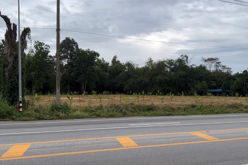 ภาพหน้าจอ_012425_050449_PM