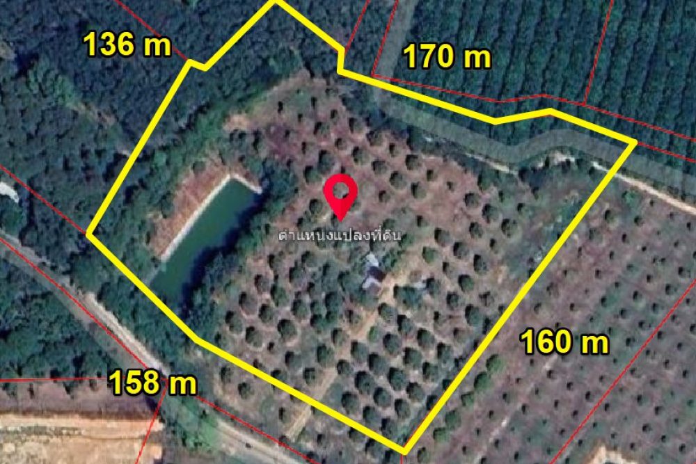 ภาพหน้าจอ_012426_082951_AM