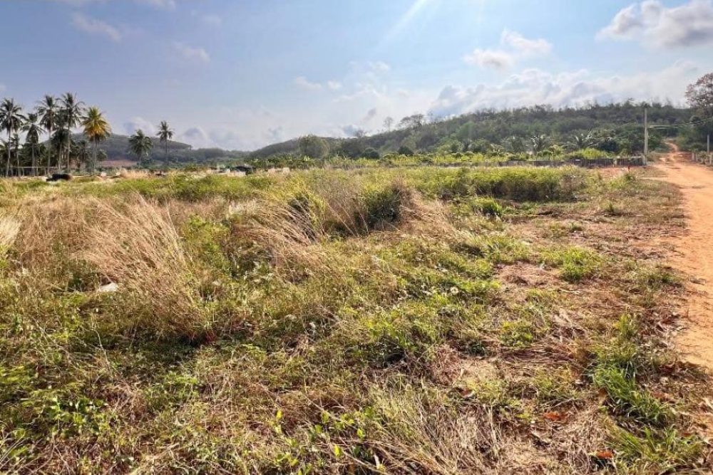 ภาพหน้าจอ_012525_033014_PM