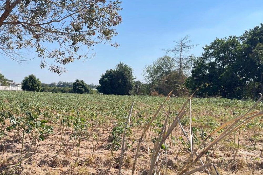 ภาพหน้าจอ_012626_013939_PM