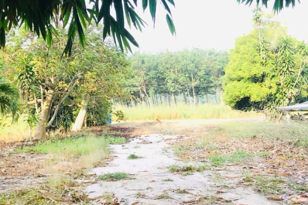 ภาพหน้าจอ_012626_092734_AM