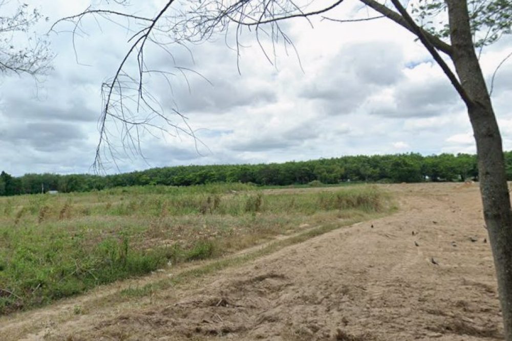 ภาพหน้าจอ_012926_032808_PM