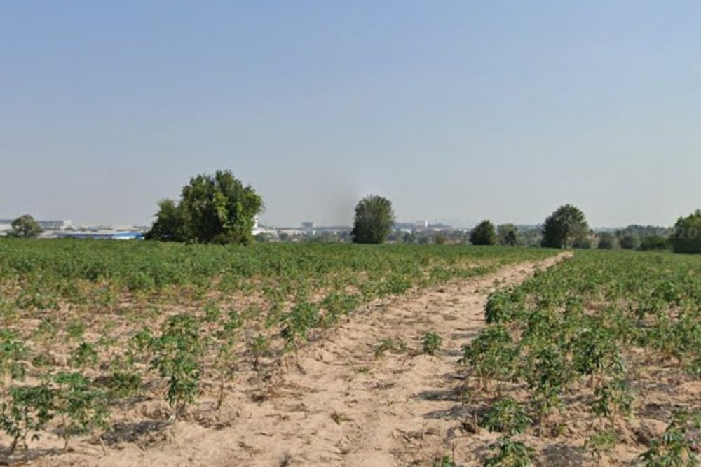 ภาพหน้าจอ_020226_094220_AM