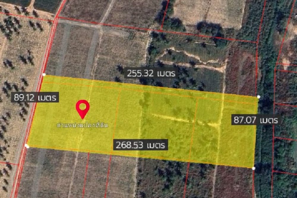 ภาพหน้าจอ_020725_033210_PM_NEW