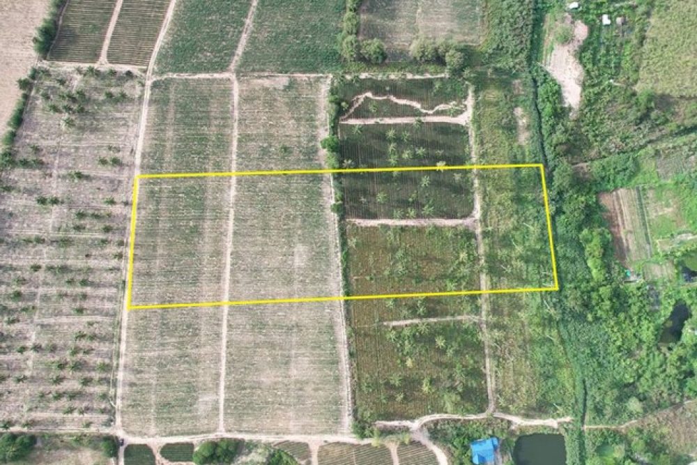 ภาพหน้าจอ_020725_033417_PM_NEW