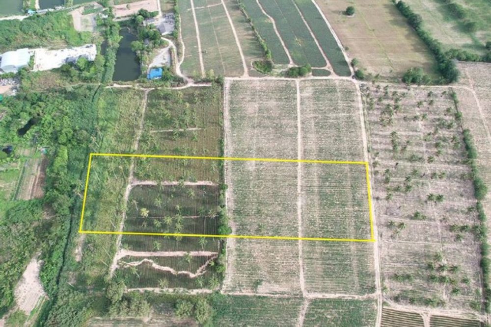 ภาพหน้าจอ_020725_033550_PM_NEW