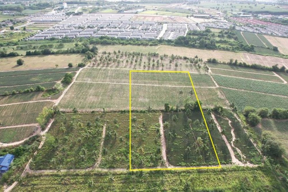 ภาพหน้าจอ_020725_033654_PM_NEW