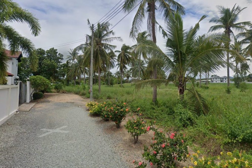 ภาพหน้าจอ_021825_011614_PM