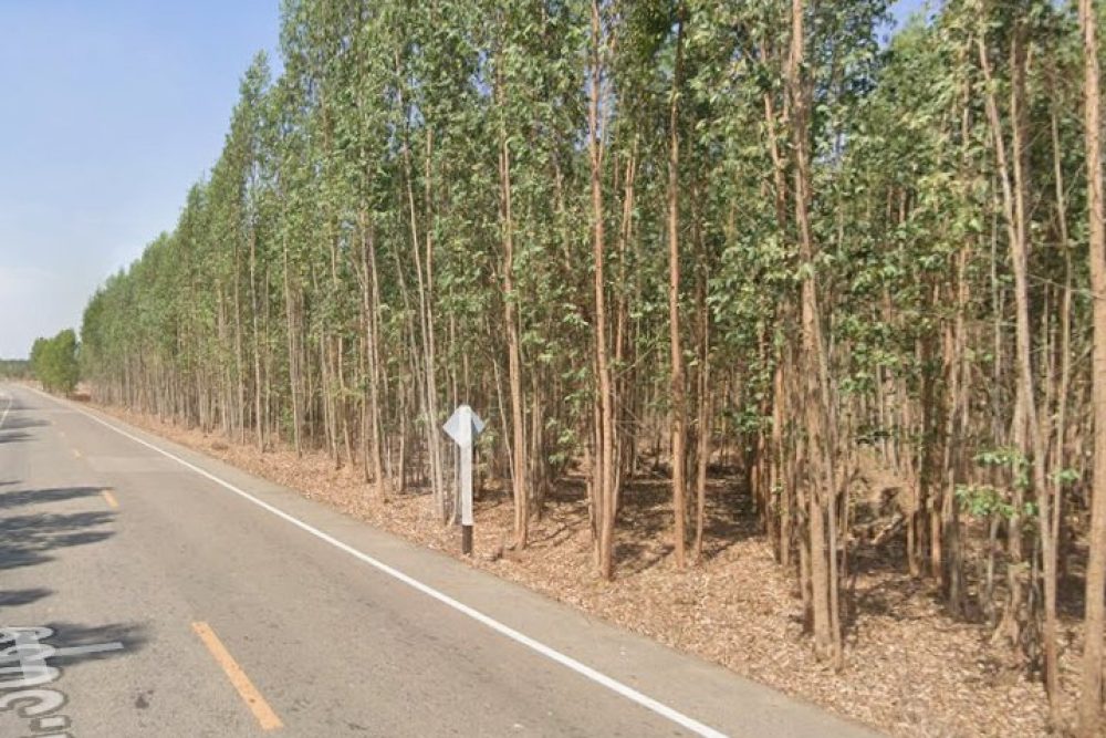 ภาพหน้าจอ_021926_013517_PM