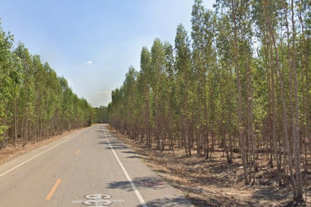 ภาพหน้าจอ_021926_013557_PM