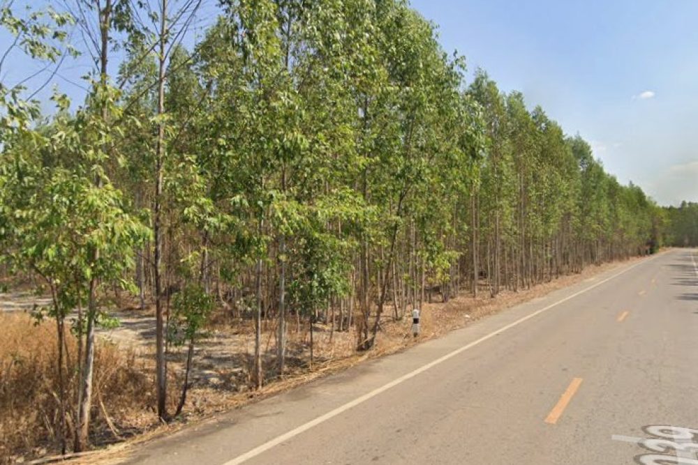 ภาพหน้าจอ_021926_013608_PM