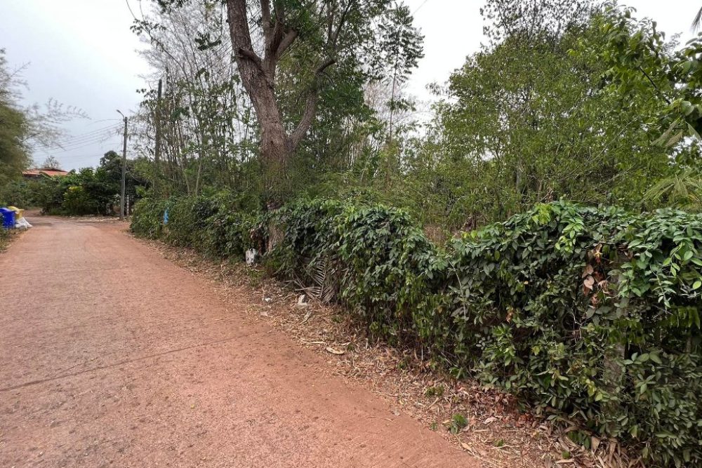 ภาพหน้าจอ_022625_093916_AM