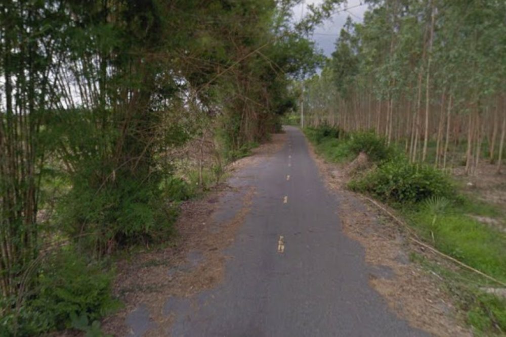 ภาพหน้าจอ_030326_030514_PM