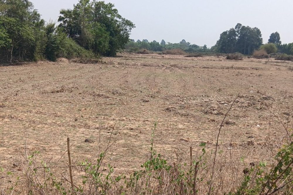 ภาพหน้าจอ_030526_032549_PM