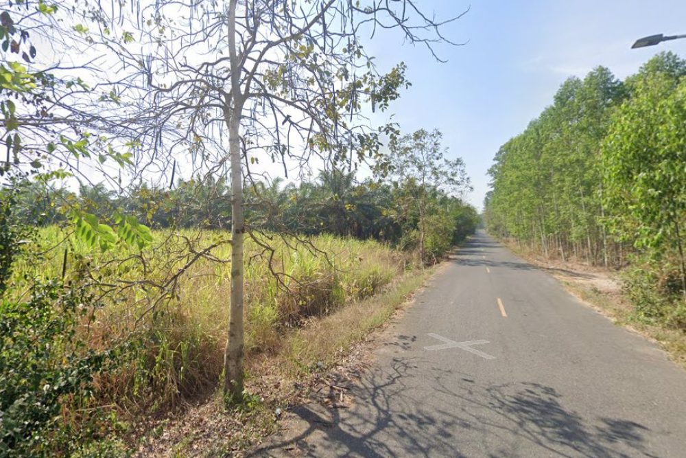 ภาพหน้าจอ_030625_033912_PM