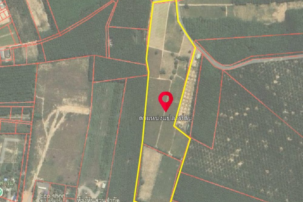 ภาพหน้าจอ_030725_041732_PM