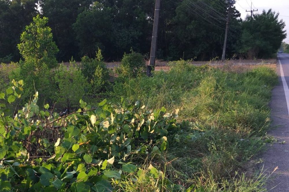 ภาพหน้าจอ_030726_084848_AM