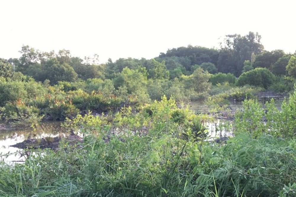 ภาพหน้าจอ_030726_084902_AM