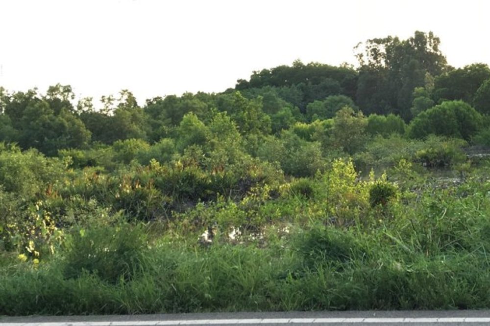 ภาพหน้าจอ_030726_084914_AM