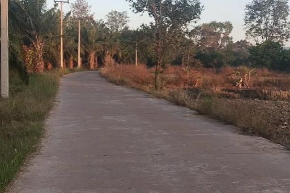 ภาพหน้าจอ_031125_012807_PM