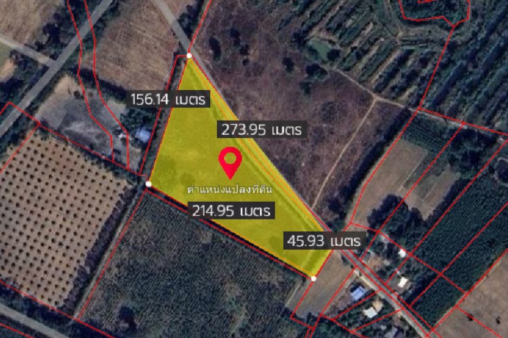 ภาพหน้าจอ_031125_040958_PM