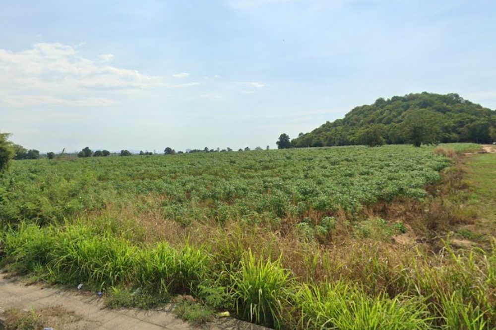 ภาพหน้าจอ_031126_014215_PM