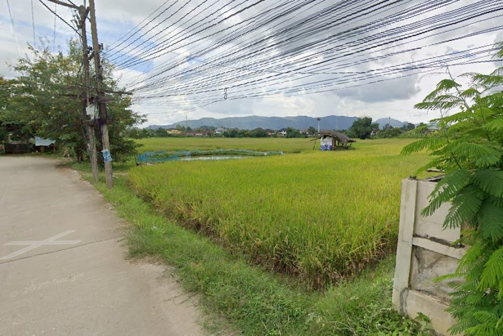 ภาพหน้าจอ_031225_034115_PM