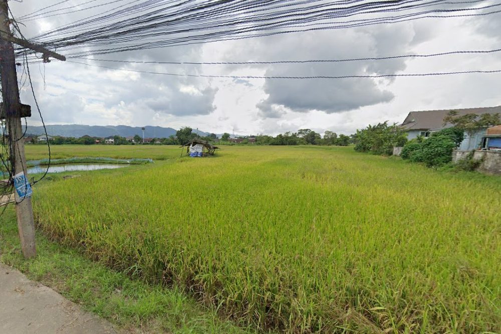 ภาพหน้าจอ_031225_034144_PM