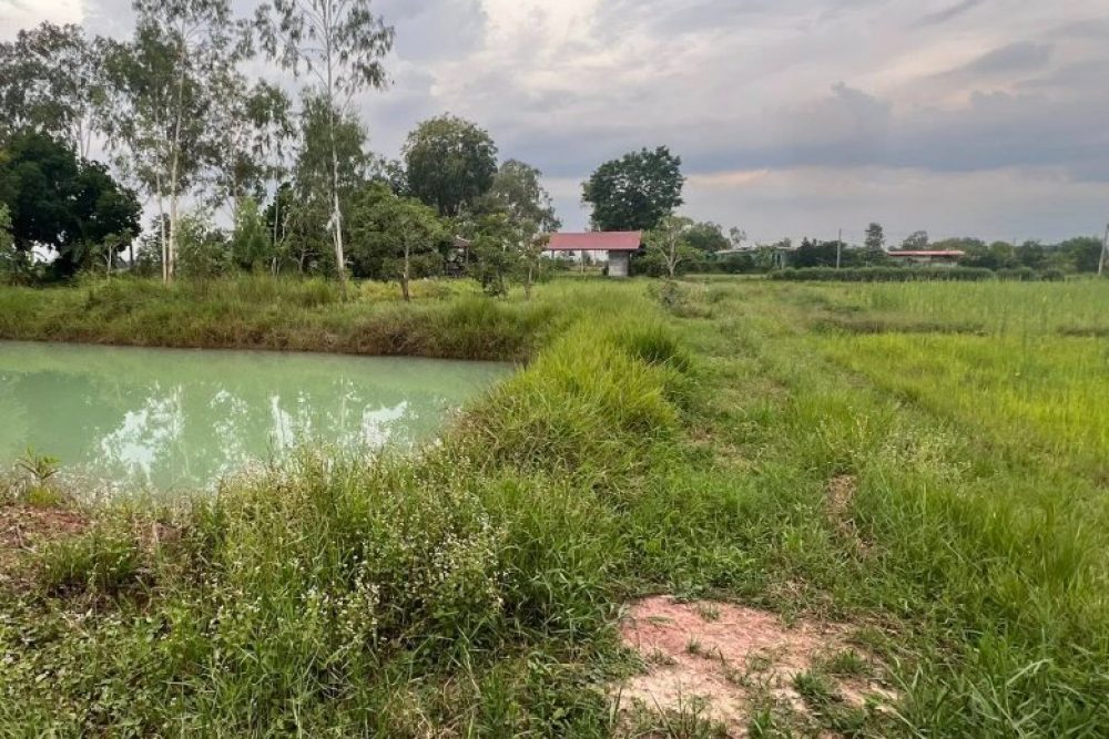 ภาพหน้าจอ_031226_012431_PM