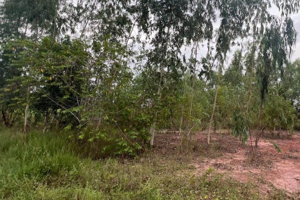 ภาพหน้าจอ_031226_012455_PM