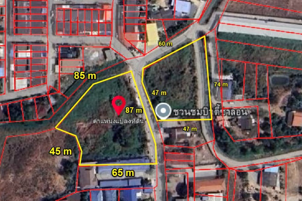 ภาพหน้าจอ_031325_041758_PM