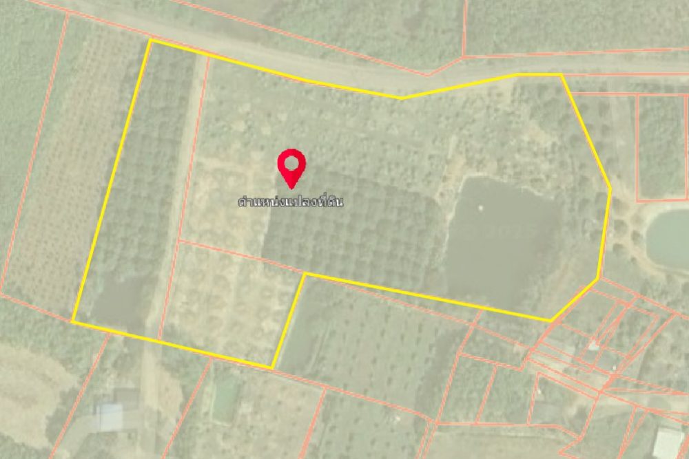 ภาพหน้าจอ_031325_105354_AM