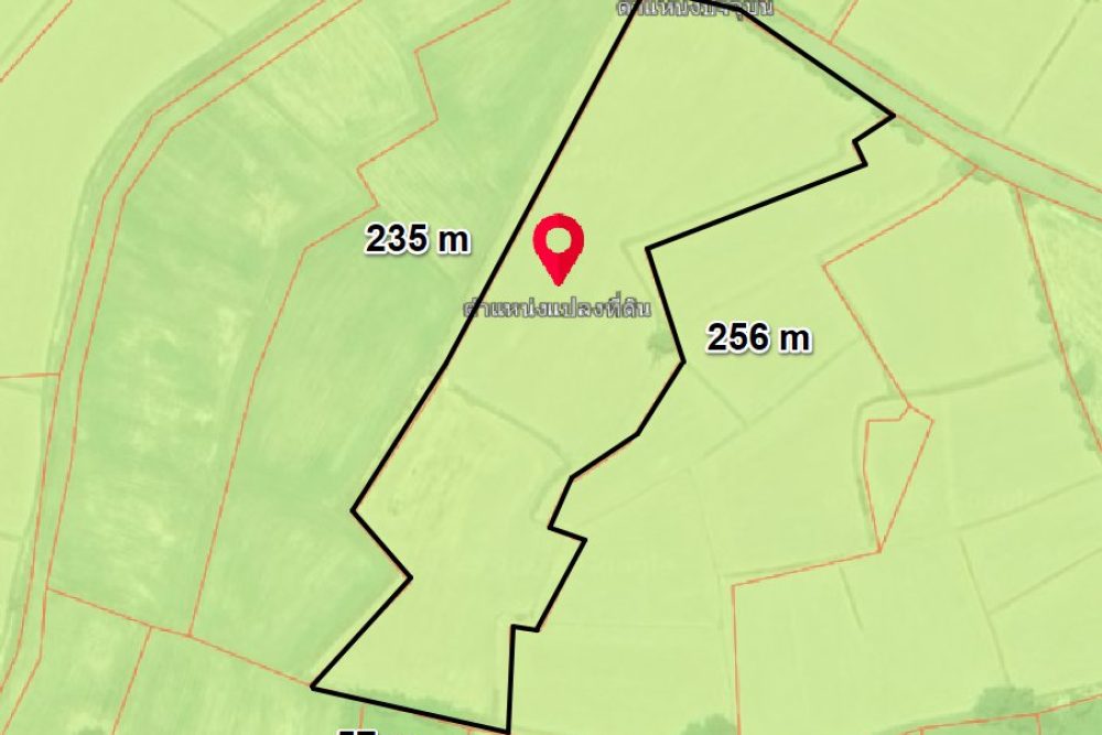 ภาพหน้าจอ_031425_011128_PM