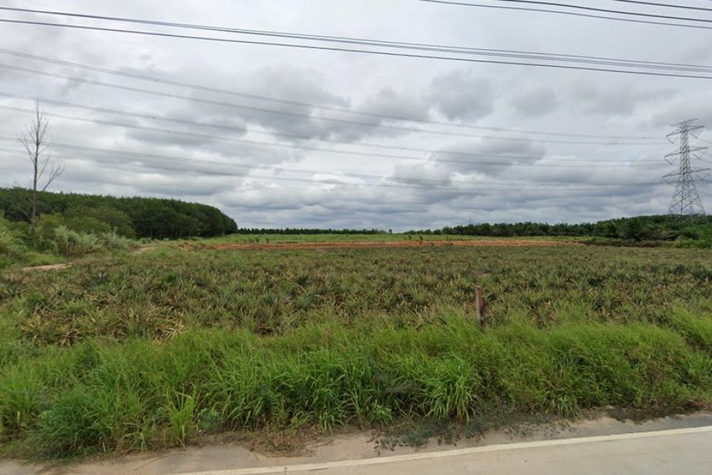 ภาพหน้าจอ_031425_033623_PM