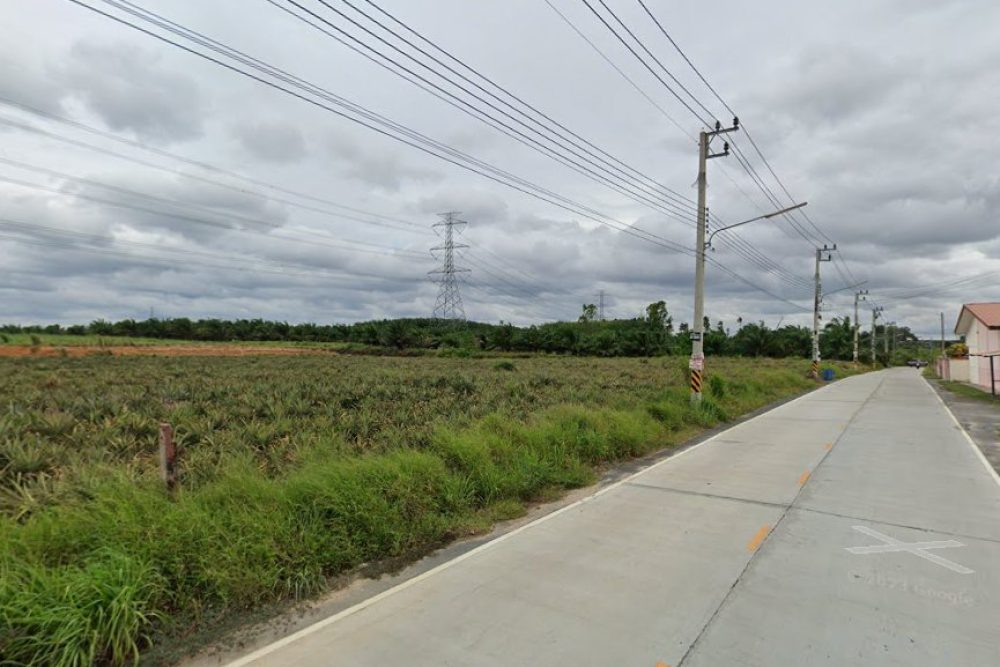 ภาพหน้าจอ_031425_033636_PM