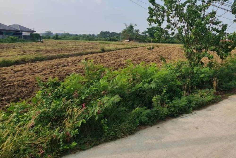 ภาพหน้าจอ_031626_040324_PM