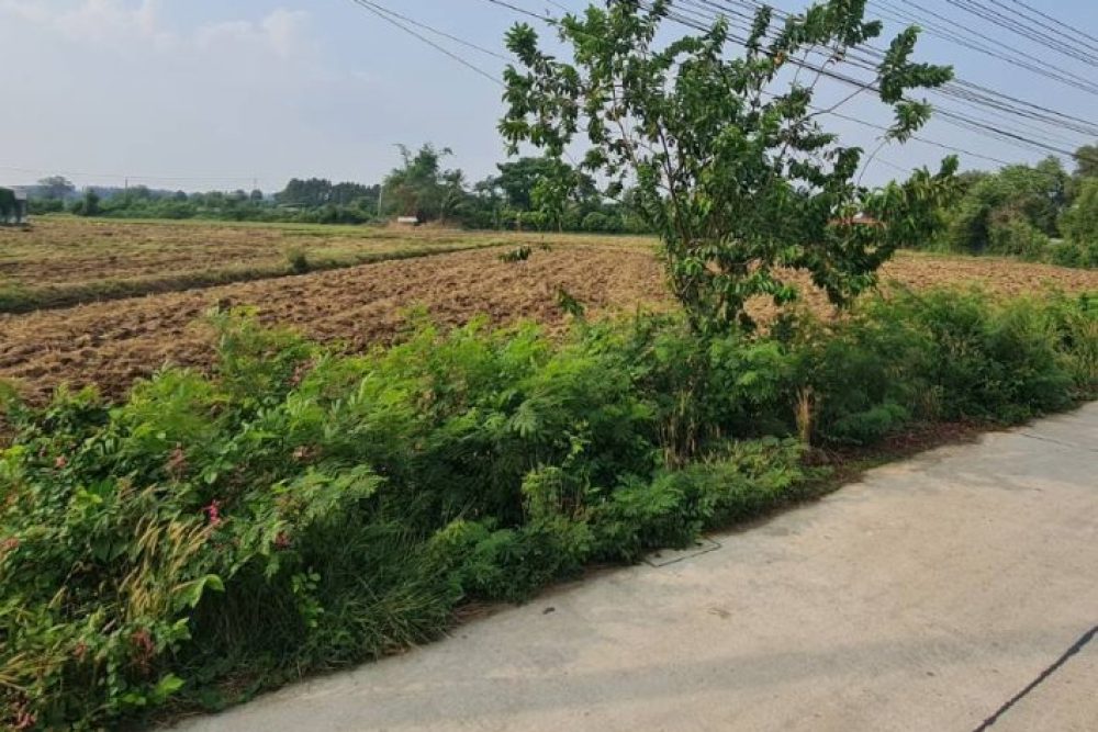 ภาพหน้าจอ_031626_040348_PM