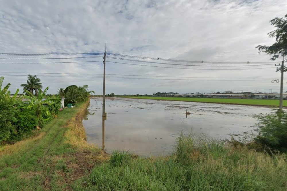 ภาพหน้าจอ_031725_034605_PM