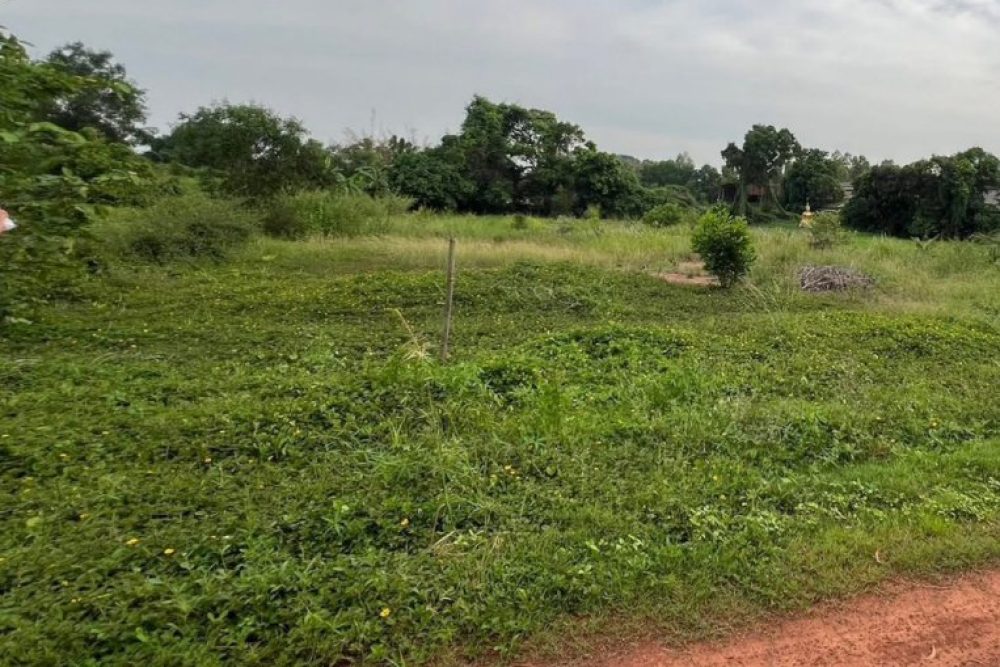 ภาพหน้าจอ_031726_023005_PM