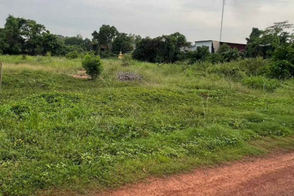 ภาพหน้าจอ_031726_023016_PM