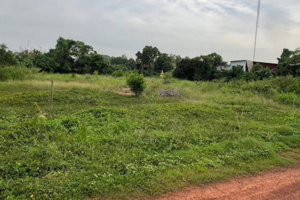 ภาพหน้าจอ_031726_023026_PM