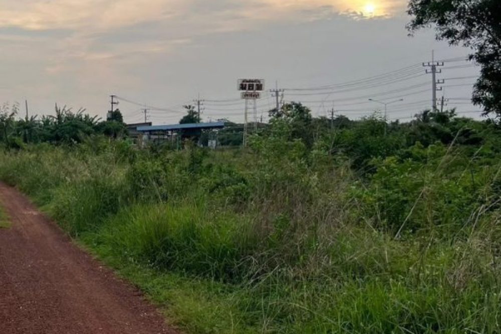 ภาพหน้าจอ_031726_023039_PM