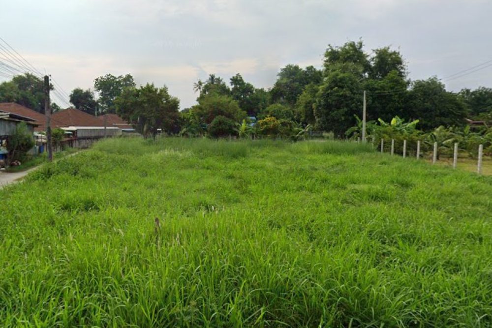 ภาพหน้าจอ_031726_095958_AM