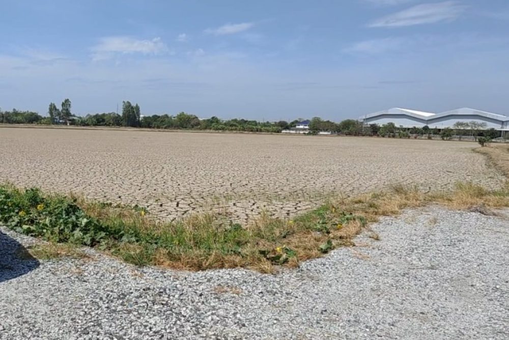 ภาพหน้าจอ_031925_094712_AM